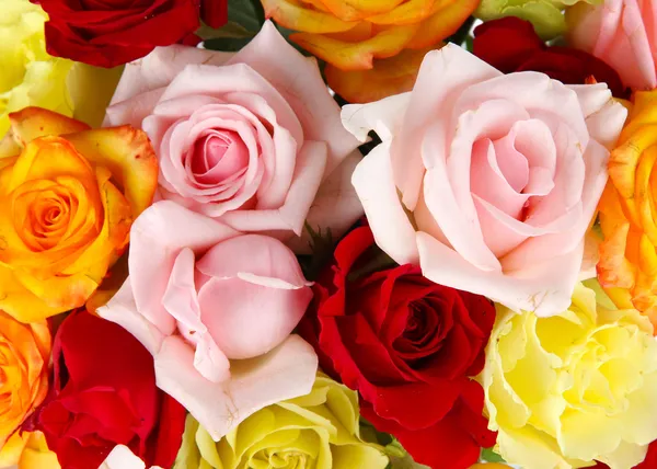 Schöner Strauß Rosen aus nächster Nähe — Stockfoto