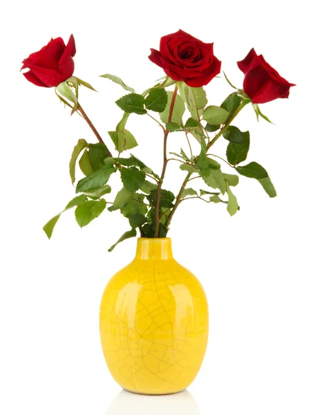 Beautiful roses in vase, isolated on white — Stock Photo, Image