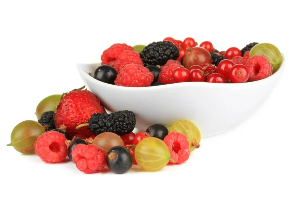 흰색 절연 그릇에 잘 익은 열매 — 스톡 사진