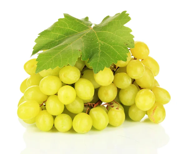 Uvas maduras deliciosas aisladas en blanco — Foto de Stock