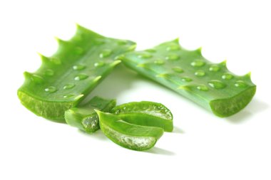 Aloe yaprakları damla, üzerinde beyaz izole