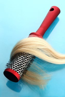 tarak fırça saçlı, mavi zemin üzerine