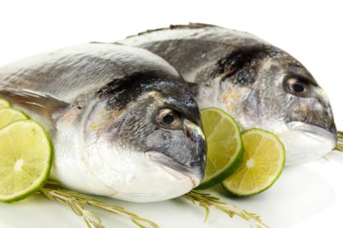 iki balık dorado limon ile üzerine beyaz izole.