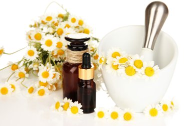 esans ve papatya çiçekleri beyaz izole harcı