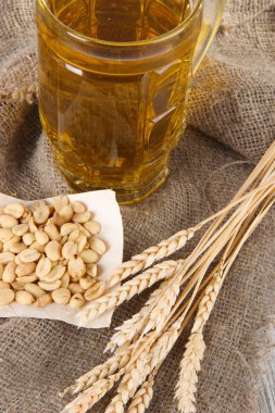bira cam ve ahşap masa üzerinde torbalama fındık