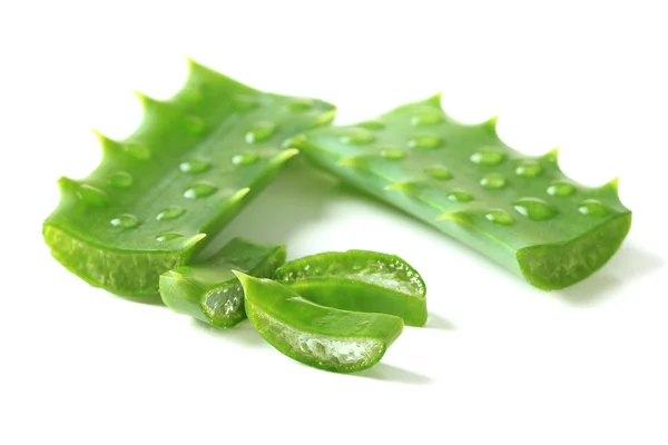 Hojas de aloe con gotas, aisladas en blanco — Foto de Stock