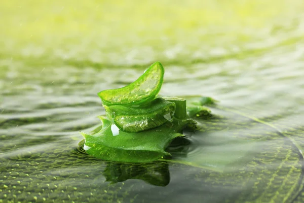 Närbild på färsk aloe blad — Stockfoto