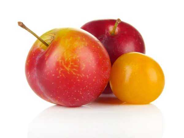 Ripe plums isolated on white — Stock Photo, Image