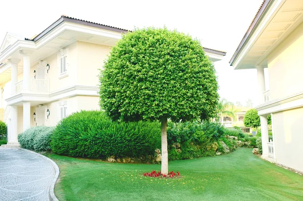 Paisajismo en el jardín — Foto de Stock