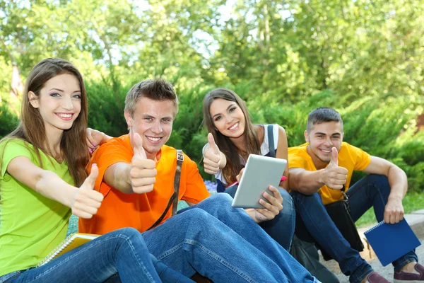 Heureux groupe de jeunes étudiants assis dans le parc — Photo