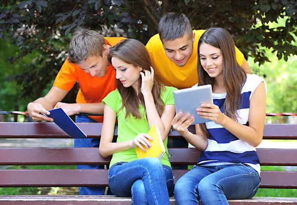 Heureux groupe de jeunes étudiants assis dans le parc — Photo