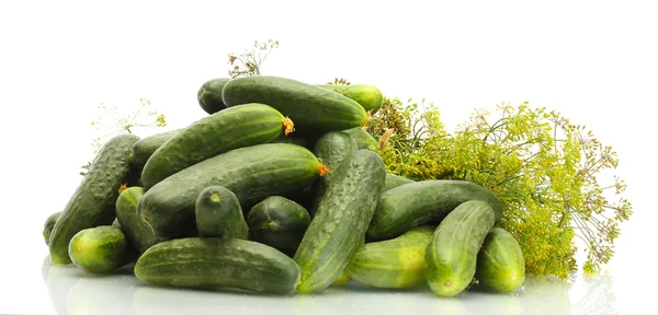 Verse komkommers en dille geïsoleerd op wit — Stockfoto