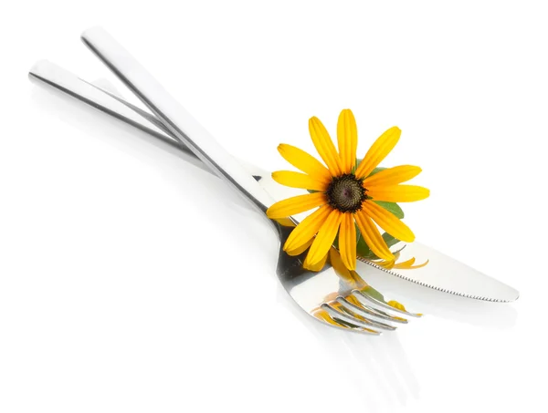 Spoon, fork and flower, isolated on white — Stock Photo, Image