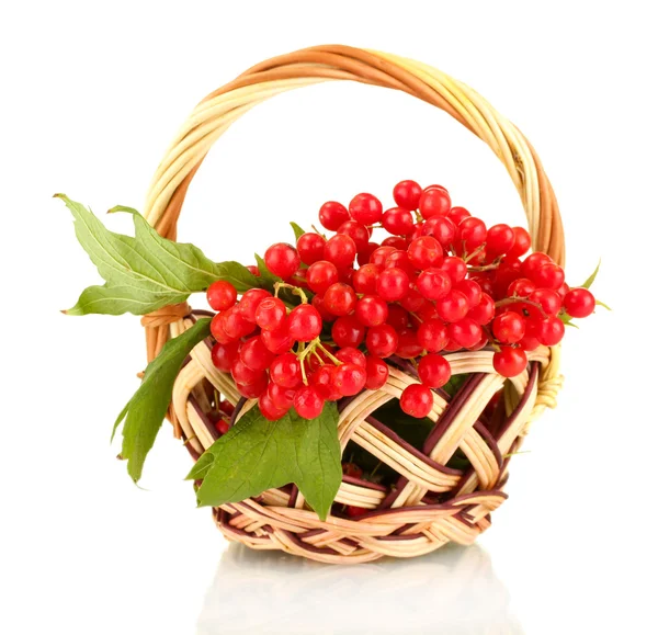 Ripe viburnum in a wicker basket isolated on white — Stock Photo, Image