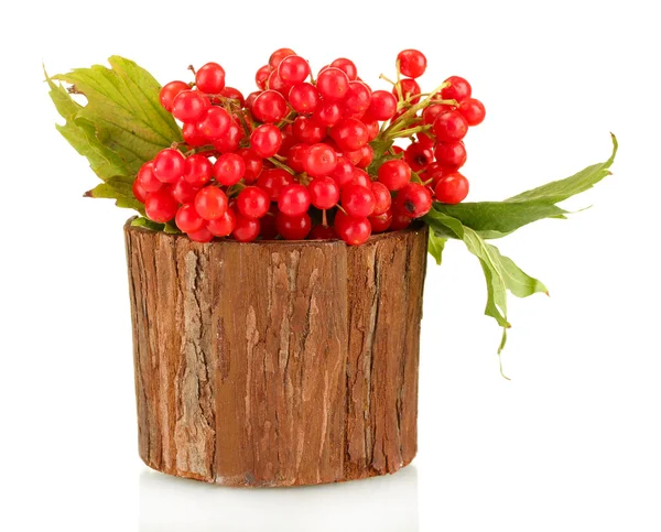 Ripe viburnum in a wooden bowl isolated on white — Stock Photo, Image
