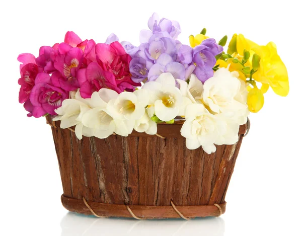 Hermoso ramo de freesias en cesta, aislado en blanco — Foto de Stock