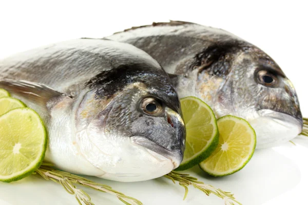Two fish dorado with lemon isolated on white — Stock Photo, Image