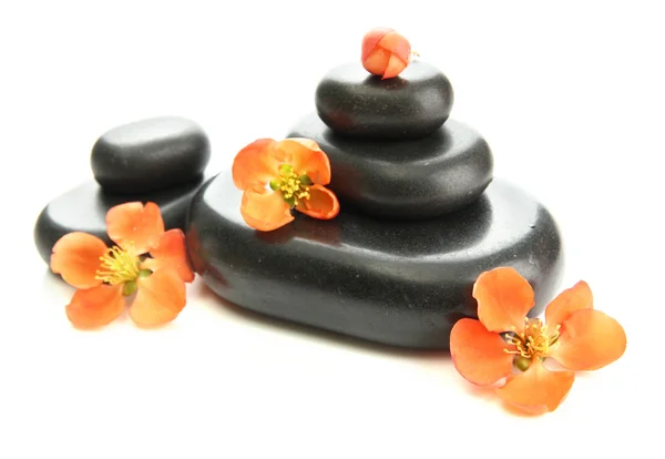 Piedras de spa y flores aisladas en blanco — Foto de Stock