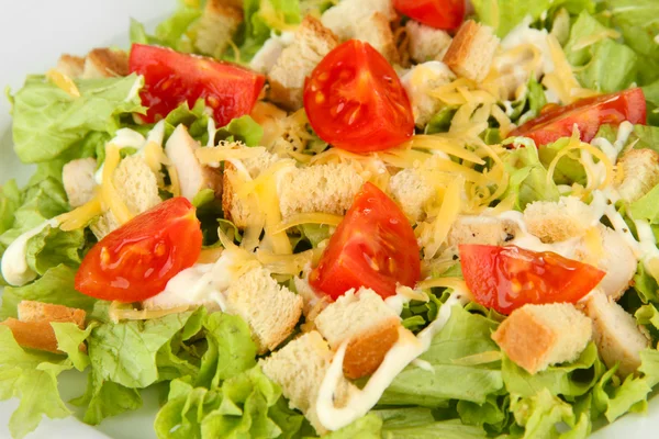 Caesar salad on white plate, close up — Stock Photo, Image