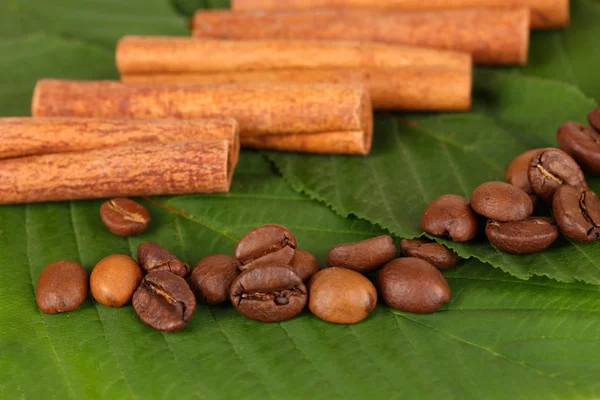 Coffee grains and cinnamon on sackcloth on green leafs close-up — Stock Photo, Image