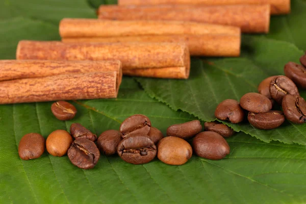 Grãos de café e canela em pano de saco em folhas verdes close-up — Fotografia de Stock