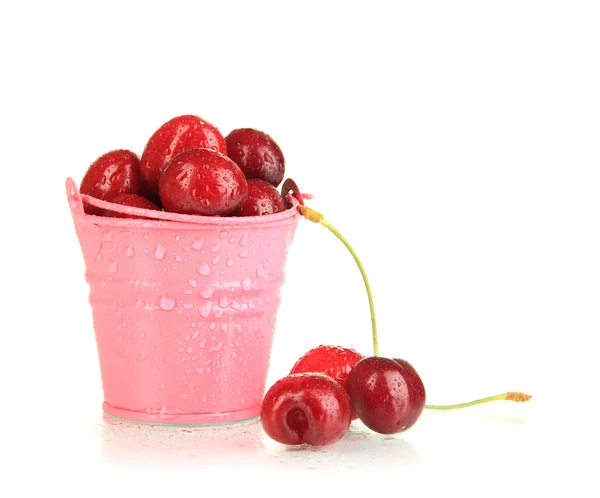 Спелые красные ягоды вишни в ведре изолированы на белом — стоковое фото