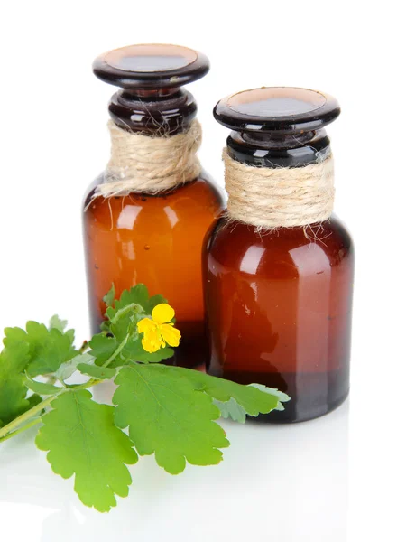 Blooming Celandine with medicine bottles isolated on white — Stock Photo, Image