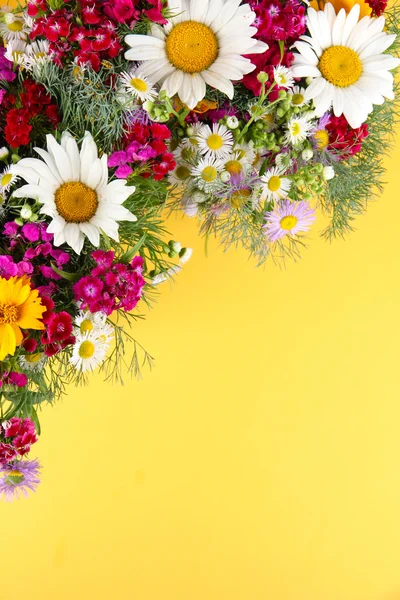 Beautiful bright flowers on yellow background — Stock Photo, Image