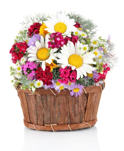 Beautiful bright flowers in wooden basket isolated on white — Stock Photo, Image