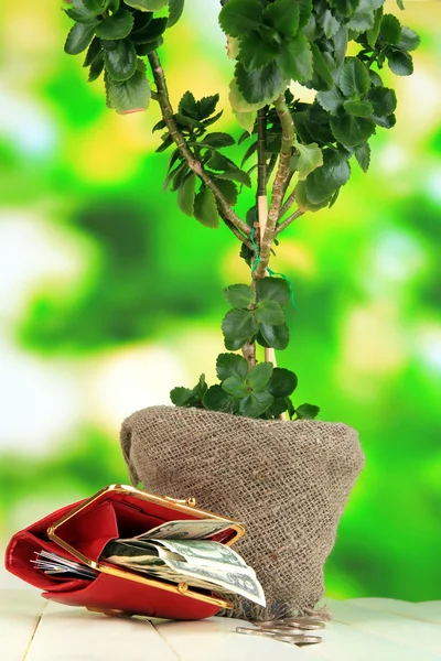 Árbol de dinero con dinero en mesa de madera sobre fondo natural — Foto de Stock