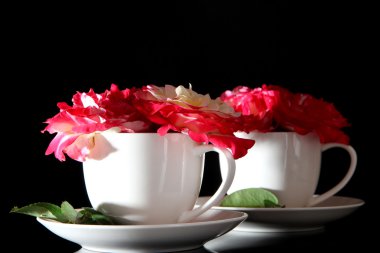 Gül Kupası siyah arka plan üzerine