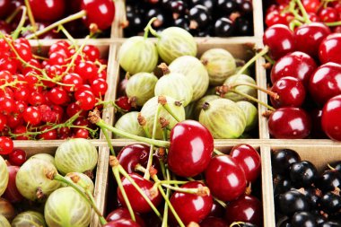 farklı yaz meyveleri, ahşap sandık, yakın çekim