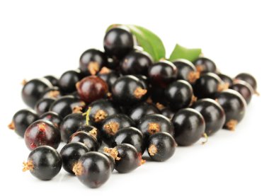 Beyazda siyah frenk üzümü