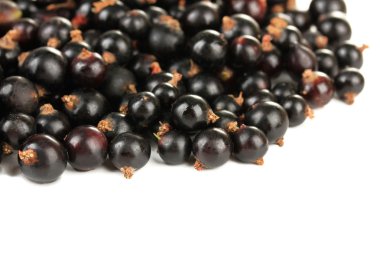 Beyazda siyah frenk üzümü