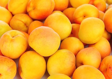 Naturel kayısı taze yakın çekim