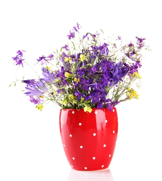 Beautiful bouquet of wildflowers in cup, isolated on white — Stock Photo, Image