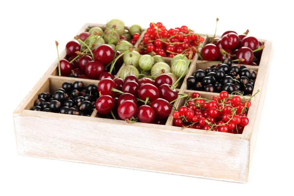 Different summer berries in wooden crate isolated on white — Stock Photo, Image