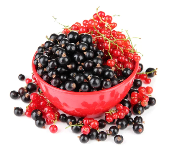 Red and black currant in bowl isolated on white — Stock Photo, Image