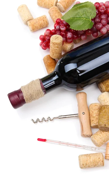 Bottle of wine, grapes and corks, isolated on white — Stock Photo, Image