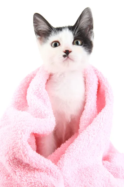 Small kitten in pink towel isolated on white — Stock Photo, Image