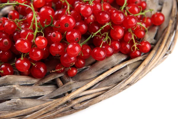 Ripe red currant isolated on white — Stock Photo, Image