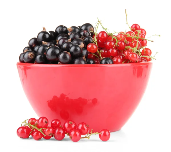 Röda och svarta vinbär i skål isolerad på vit — Stockfoto