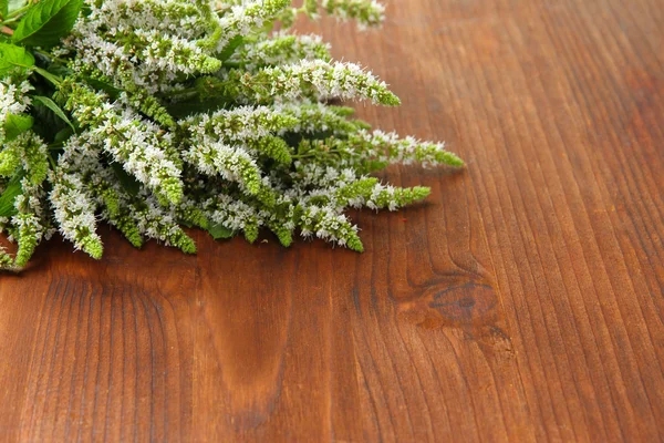 Fresh mint flowers on wooden background — Stock Photo, Image