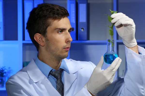 Jonge laboratorium wetenschapper werken bij lab — Stockfoto