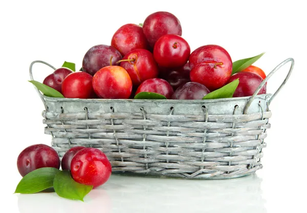 Ciruelas maduras en cesta aisladas en blanco — Foto de Stock