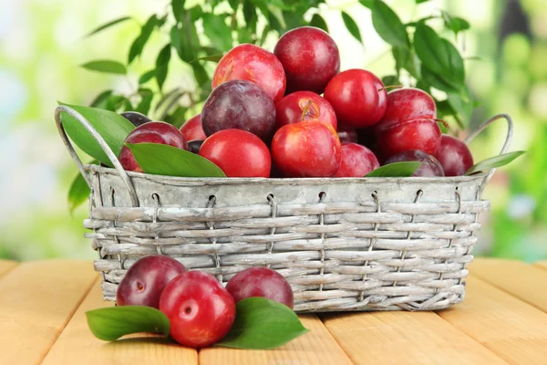 Ripe plums in basket on wooden table on natural background — Stock Photo, Image