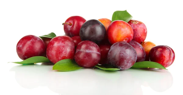 Ripe plums isolated on white — Stock Photo, Image