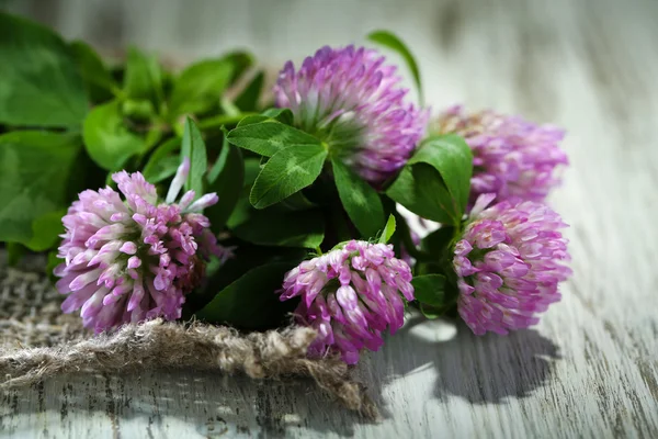 Clover flowers with leaves on wooden background — Stock Photo, Image