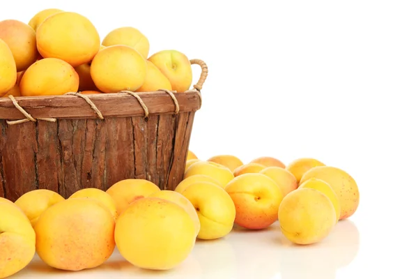 Свежий натуральный абрикос в корзине изолирован на белом — стоковое фото