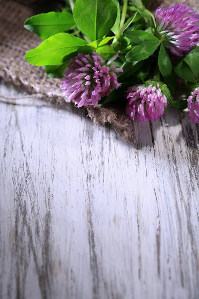 Fiori di trifoglio con foglie su sfondo di legno — Foto Stock